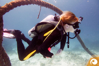 Robert from Diveaholics diving on Curacao